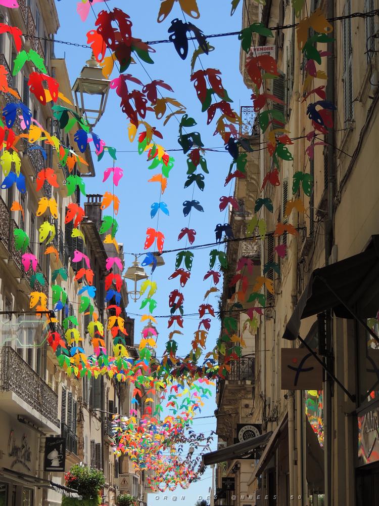 28 Toulon Rue d'Alger.JPG -           